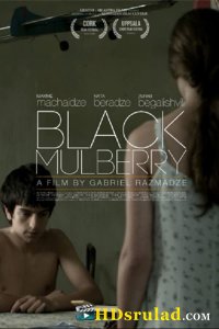 შავი თუთა / Black Mulberry