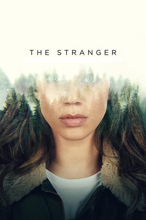 უცნობი (ქართულად) (2020 / Ucnobi (Qartulad) / The Stranger