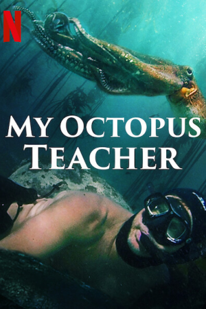 ჩემი რვაფეხა მასწავლებელი / My Octopus Teacher