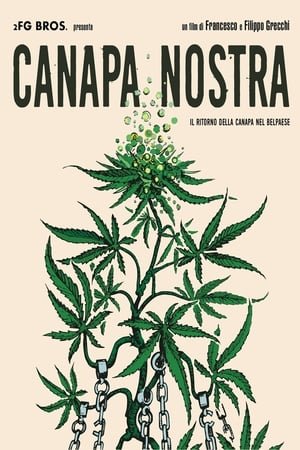 ჩვენი კანაფი / Canapa Nostra