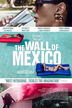 მექსიკის კედელი / The Wall of Mexico